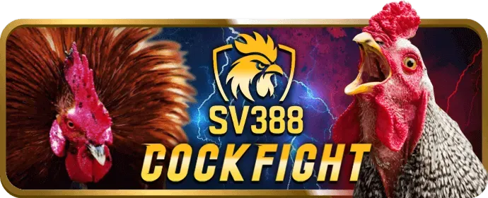 Phương thức gửi tiền Fun88